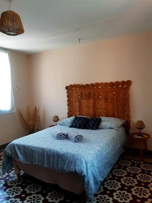 Charmante Maison De Ville Avec Jardin بيربينيو المظهر الخارجي الصورة
